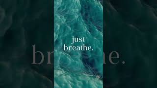 Take a moment to unwind and reset with this 30 second meditation 🧘‍♀️ [upl. by Joash]