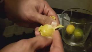 How to make Calamondin Citrus Fruit Juice Best tasting drink ever [upl. by Ltsyrk]