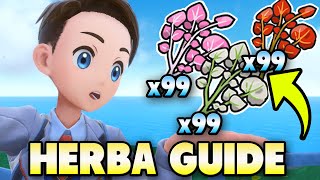 🌿 BEST HERBA MYSTICA FARMING GUIDE For Pokemon Scarlet amp Violet [upl. by Borlase864]