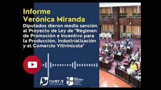 Informe  Media sanción en Diputados a Ley de producción vitivinícola [upl. by Blood]