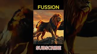 best hybrid beast animal fusion fusion animals [upl. by Teteak578]