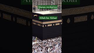 Quran recitationshortsfeed shortsvideoshorts [upl. by Aneg]