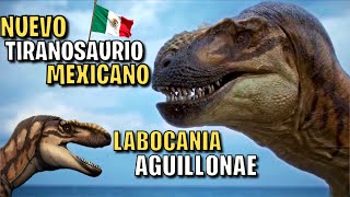 Nuevo Tiranosaurio Mexicano 🦖🇲🇽  Labocania aguillonae  Nuevo Dinosaurio Descubierto en México [upl. by Kosak]