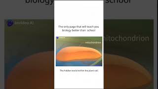 Plant Cells The Most Interesting Cells education plants cellbiology biology youtube [upl. by Weidar]