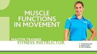 Muscle Functions in Movement [upl. by Moraj]