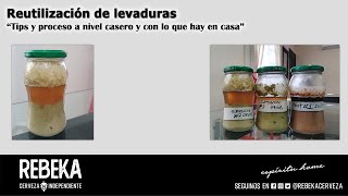 Recuperar y reutilizar levadura de manera casera con lo que hay a mano [upl. by Paradies64]