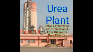 Hp section Flow Diagram Urea Reactor [upl. by Yldarb]