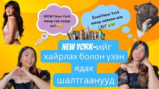 New York хотод дурлах шалтгаанууд бас үзэн ядах шалтгаанууд  Shall We Chat Ep2 [upl. by Ailelc]