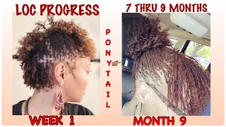 Sisterlocks  Microlocs  Loc Progress Months 79 [upl. by Boser24]