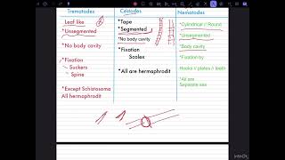 شرح مدخل الطفيليات Medical parasitology 1Nematodes 2cestodes 3Trematodes المحاضرة الأولى [upl. by Anaul]