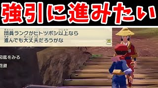 【検証】アルセウスのとおせんぼう銀河団員！無理やり川を渡れるのでは？【ゆっくり実況】【ポケモン】 [upl. by Enomrej687]