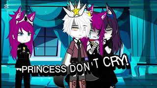 princess dont cry [upl. by Ahsayn]