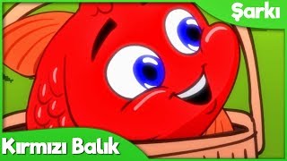 Kırmızı Balık Çocuk Şarkısı  Okul Öncesi Türkçe Çocuk ve Bebek Şarkıları [upl. by Ettezel]