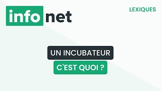 Un incubateur cest quoi  définition aide lexique tuto explication [upl. by Strenta]