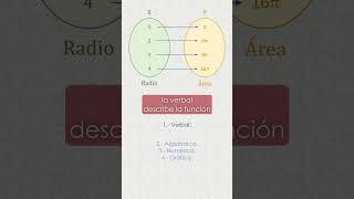 ¡Así lucen las funciones ✨📈🔍 [upl. by Cohla]