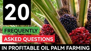 Top 20 Frequently Asked Questions About Profitable Oil Palm Farming Explained [upl. by Isiah]