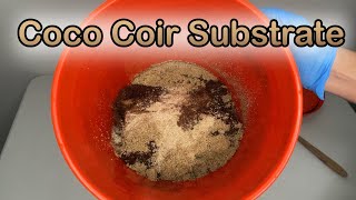 How to Make Coco Coir Substrate for Growing Mushrooms [upl. by Erina]