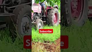 youtube life agriculturelife [upl. by Leva]