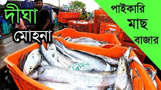 Digha Mohona Fish Market  দীঘা মোহনা পাইকারি মাছ বাজার  Digha Mohona 2021 Digha Tour digha [upl. by Savitt]