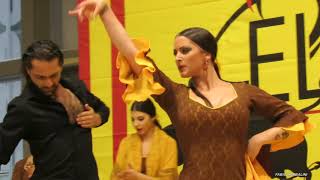 LArtigiano in Fiera 2018 MI  Flamenco [upl. by Glory]