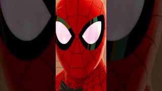 SpiderMan Into the SpiderVerse  Coffin Dance Song COVER [upl. by Siramaj258]