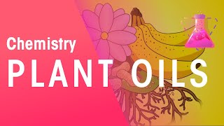 The Extraction Of Plant Oils  Organic Chemistry  Chemistry  FuseSchool [upl. by Acul]