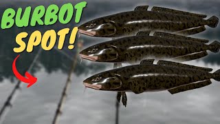 BURBOT SPOT IN KUORI LAKE 560 Russian fishing 4 [upl. by Maretz]