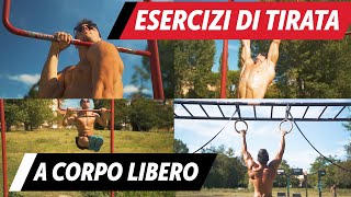 I migliori esercizi di tirata nel CALISTHENICS [upl. by Anirda]