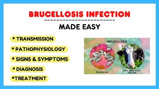 Brucella infection Brucellosis pathophysiology symptoms treatment microbiology made easy [upl. by Obadias]