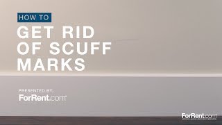 How To Get Rid of Wall Scuff Marks [upl. by Anirbys335]