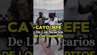 JEFE DE SICARIOS DE LOS CHAPITOS ES ARRESTADO EN CULIACÁN mexico narcos culiacan shorts facts [upl. by Gualtiero]