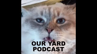 OUR YARD Podcast Episode 29 PART 1 FEATURING THATS KENNY 2000 [upl. by Yhtnomit]