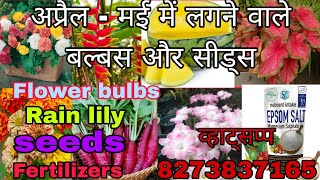 summer flower bulbs update video lily bulbs  rhyzomes and tuber seeds fertilizer [upl. by Asirralc]