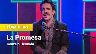 Gonzalo Hermida  “La Promesa” Plan de Tarde [upl. by Llenrap565]