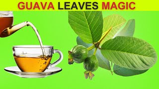 Incredible Benefits of Guava Leaves  11 Reasons To Drink [upl. by Janerich]