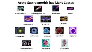 Diagnostic Stewardship in Acute Infectious Gastroenteritis What Can RealWorld Data Tell Us [upl. by Elyak]