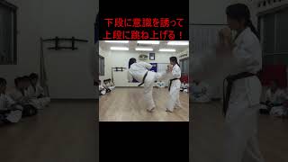 フェイク段蹴り！japanesemartialarts Kyokushin KENSEIKAN KARATE Blackbelt [upl. by Havens]