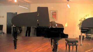 Bösendorfer 200 Johann Strauss Luzern Pianos AG [upl. by Nhguavoj]