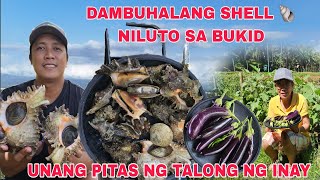 Dambuhalang Shell 🐚 Niluto sa Bukid TanghalianFinally Unang pitas ng Talong ng inay sa Garden [upl. by Corson]