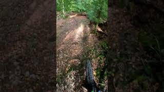 Boppardmtb downhill bikelife automobile mountainbike mtblife enduro jump [upl. by Bengt]