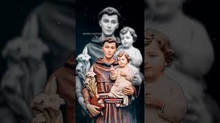 பதுவை நகர்  St Anthony Tamil Song jesus jesuschrist catholicchurch mothermarysongs avemaria [upl. by Ronal]