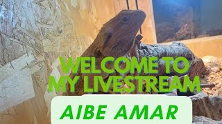 Aibe Amar is live [upl. by Aneekas891]