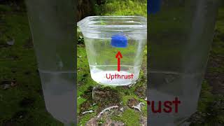 Upthrust  Buoyant force  Floatation floatation upthrust physics experiment shortvideo viral [upl. by Jessen402]