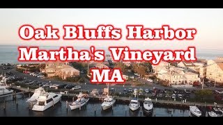 Oak Bluffs Harbor  Marthas Vineyard MA  Drone [upl. by Atiniuq]