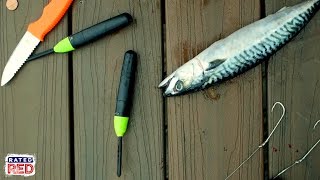 Bring Dead Fish Back to Life With the Zombait [upl. by Ardeha]