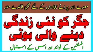 Warm Wood Benefits  Afsanteen Ke Fawaid Aur Us Ke istemal By Hakeem Zia Shahid [upl. by Ynnos132]