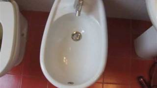 How to  How to Use the Bidet [upl. by Vida]