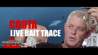 Traces  Couta Live Bait Trace [upl. by Htenywg]