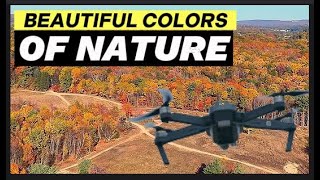 Pine Grove colors of nature Mavic3Pro dronefootage [upl. by Nylatsyrk]