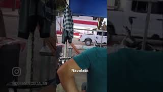 navolato culiacán culiacánsinaloa cheyenne corridos guardianacional fiscalía [upl. by Ennyl]